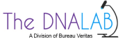 The DNA Lab logo